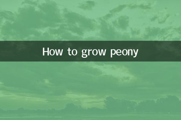 芍药怎么种植方法