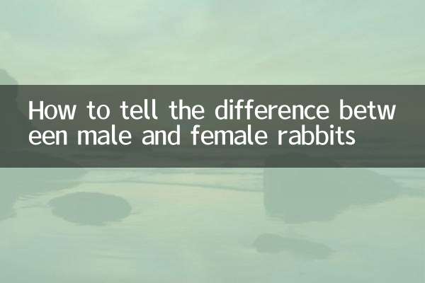 Wie erkennt man den Unterschied zwischen männlichen und weiblichen Kaninchen?