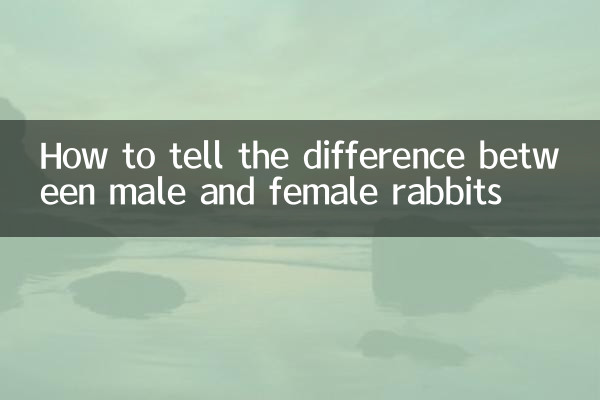 Wie erkennt man den Unterschied zwischen männlichen und weiblichen Kaninchen?
