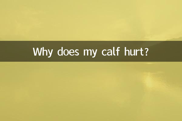 Why does my calf hurt?