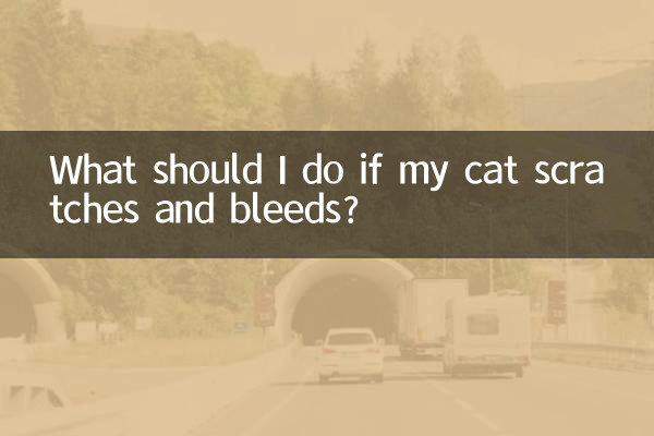 What should I do if my cat scratches and bleeds?