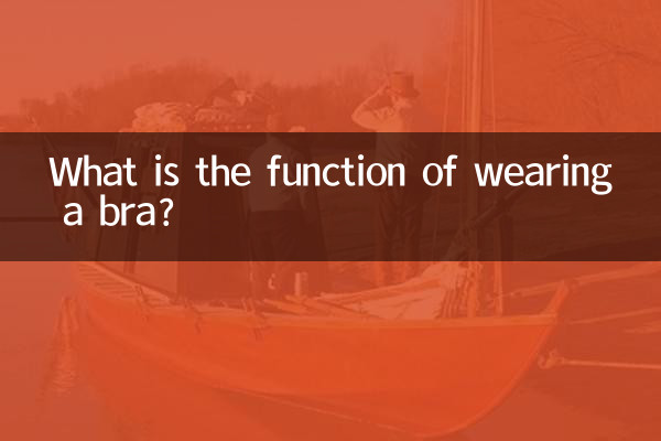 Qual è la funzione di indossare un reggiseno?
