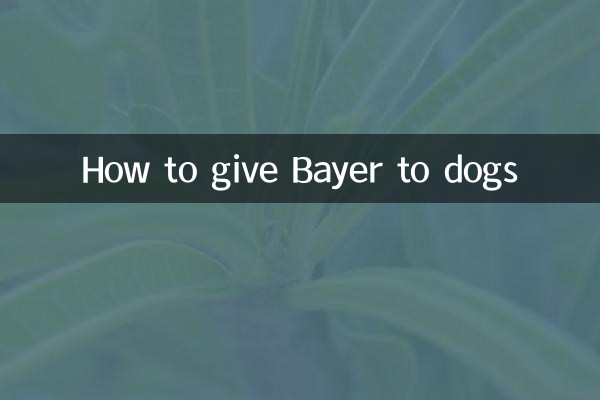 Come dare il Bayer ai cani