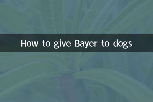 Come dare il Bayer ai cani