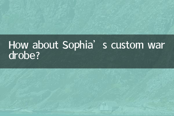 صوفیہ کی کسٹم الماری کے بارے میں کیا خیال ہے؟