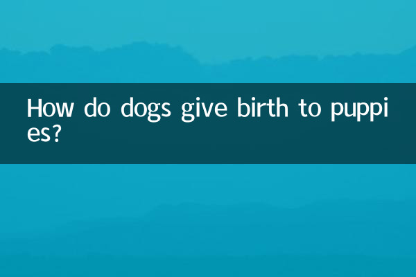 Как собаки рожают щенков?