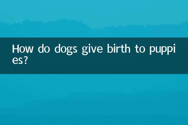 Comment les chiens donnent-ils naissance à des chiots ?
