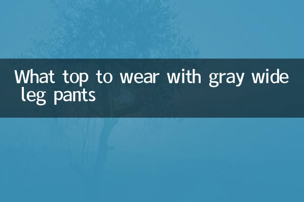 ধূসর চওড়া লেগ প্যান্ট সঙ্গে কি শীর্ষ পরতে