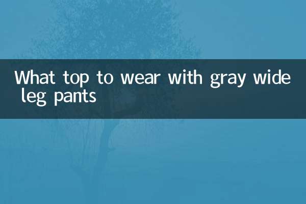 ধূসর চওড়া লেগ প্যান্ট সঙ্গে কি শীর্ষ পরতে