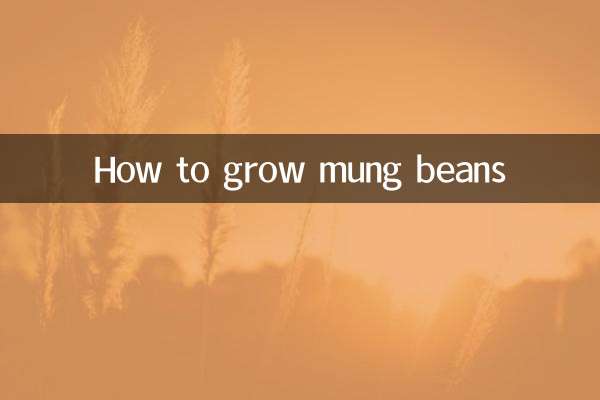 How to grow mung beans