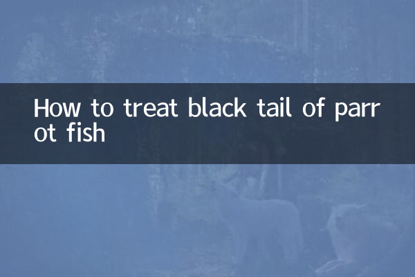 How to treat black tail of parrot fish