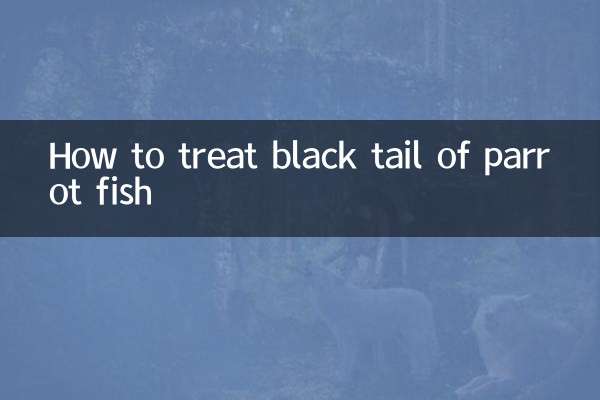 How to treat black tail of parrot fish
