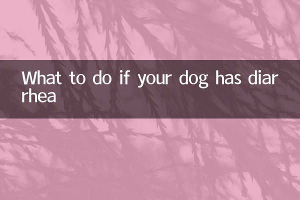 यदि आपके कुत्ते को दस्त हो तो क्या करें?