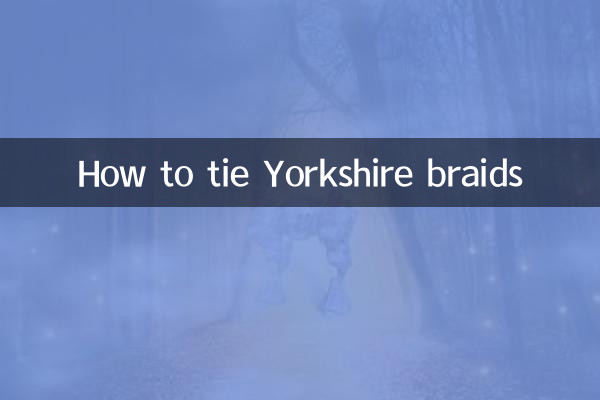 Como amarrar tranças Yorkshire