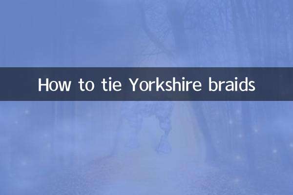 Como amarrar tranças Yorkshire