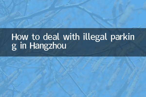 Come gestire il parcheggio illegale a Hangzhou