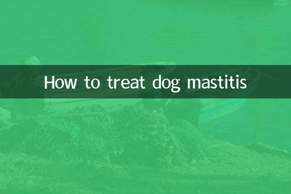 Как лечить мастит у собаки