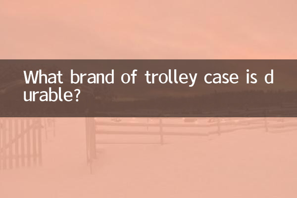 ما هي العلامة التجارية لحقيبة العربة المتينة؟