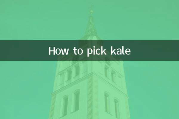 نحوه چیدن کلم پیچ