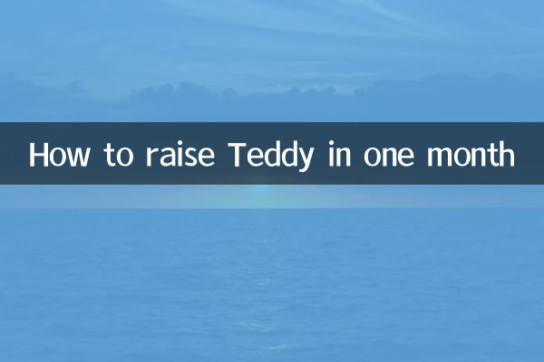 泰迪一個月怎麼養