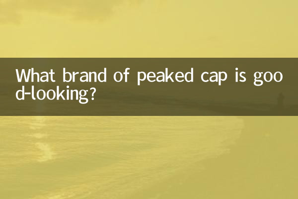 피크캡 어떤 브랜드가 잘생겼나요?