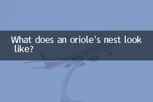 Wie sieht das Nest eines Pirols aus?