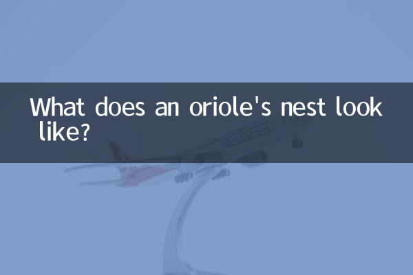 꾀꼬리 둥지는 어떻게 생겼나요?