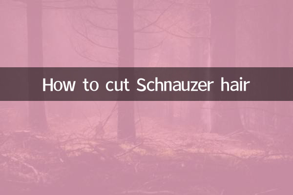 श्नौज़र बाल कैसे काटें