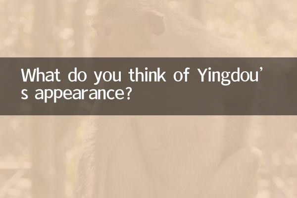 نظر شما در مورد ظاهر Yingdou چیست؟