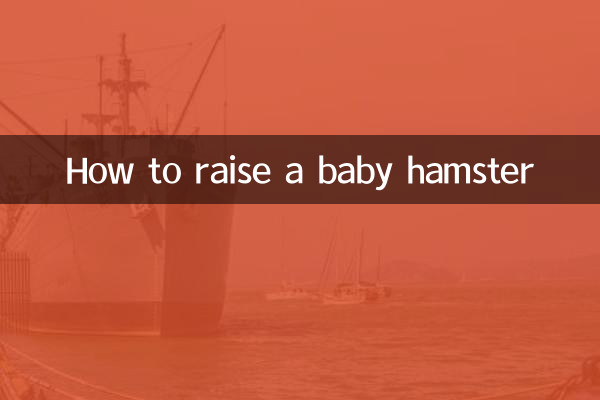 How to raise a baby hamster