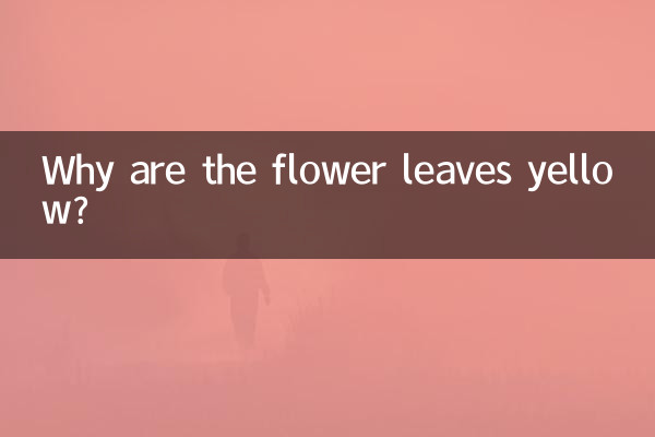لماذا أوراق الزهرة صفراء؟