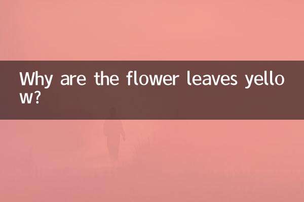 چرا برگ های گل زرد است؟