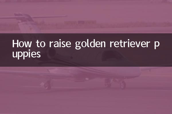 Come allevare cuccioli di Golden Retriever