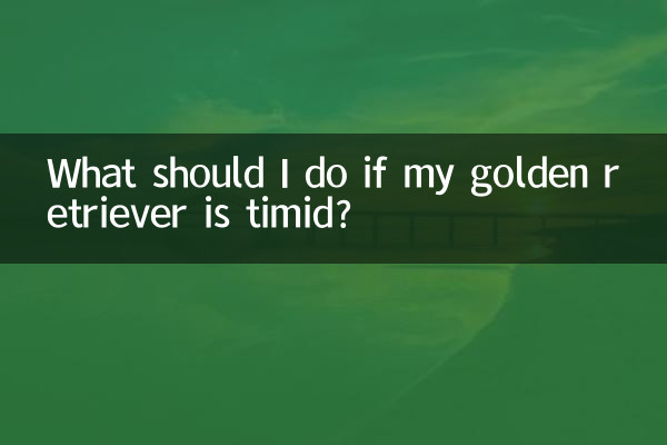 আমার গোল্ডেন রিট্রিভার ভীরু হলে আমার কি করা উচিত?