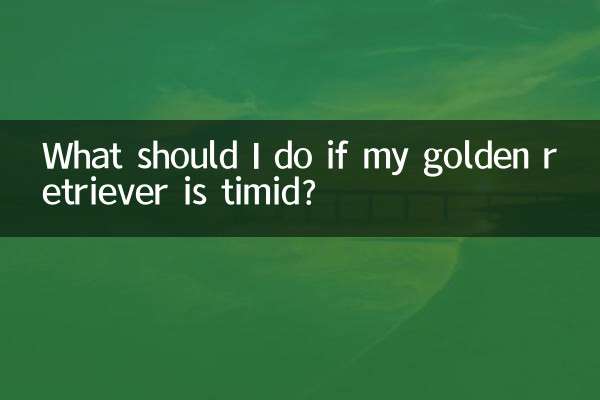 金毛膽小怎麼辦