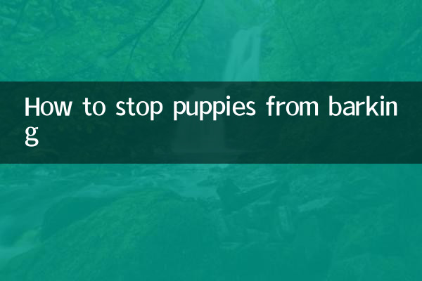 So verhindern Sie, dass Welpen bellen