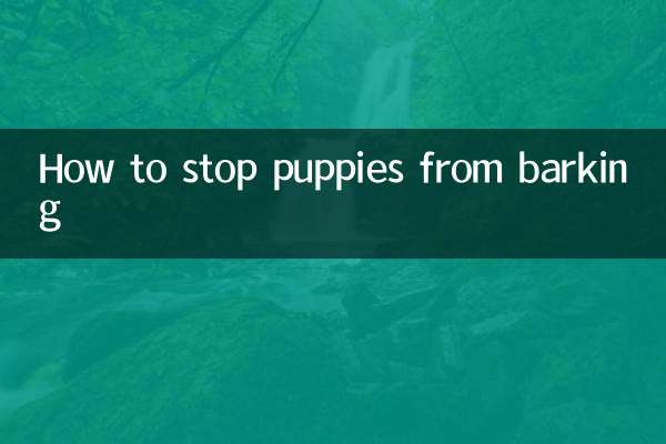 So verhindern Sie, dass Welpen bellen