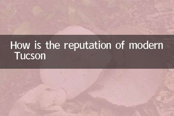 Com'è la reputazione del moderno Tucson
