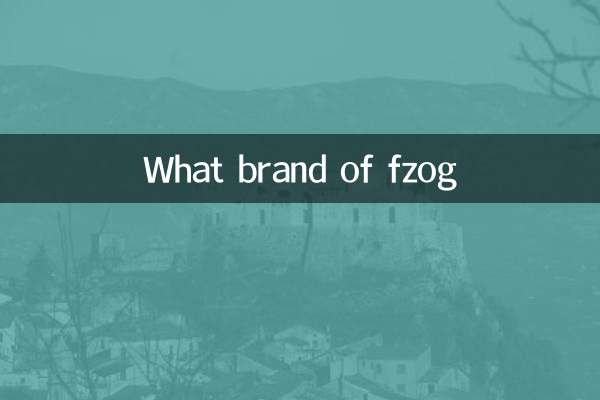 fzog什么牌子