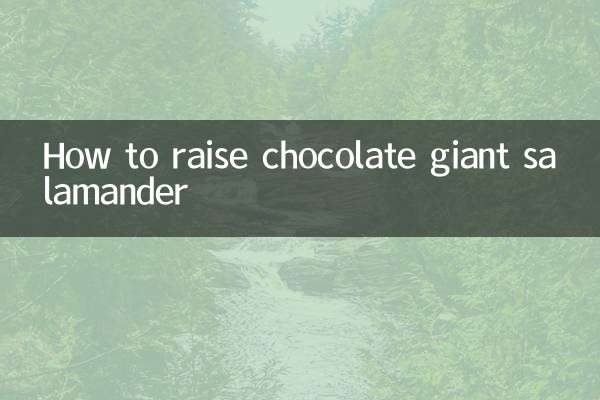 Comment élever la salamandre géante au chocolat