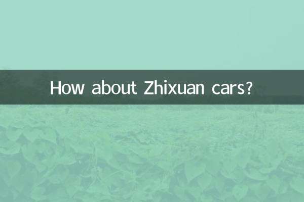 ¿Qué hay de los coches Zhixuan?