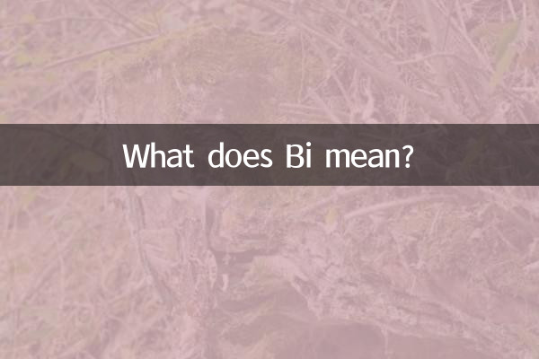 O que significa Bi?