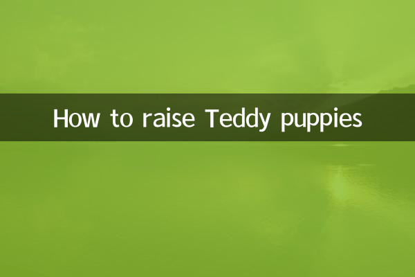 How to raise Teddy puppies