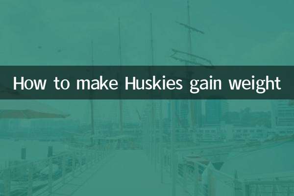 Como fazer os Huskies ganharem peso