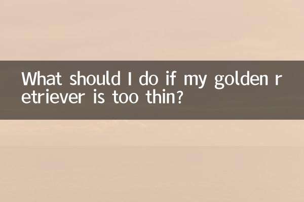 Cosa devo fare se il mio Golden Retriever è troppo magro?