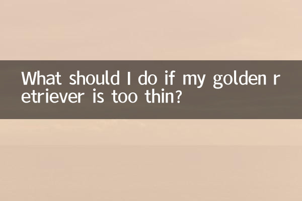 Was soll ich tun, wenn mein Golden Retriever zu dünn ist?