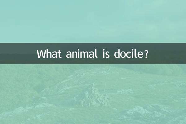 什么动物很温顺