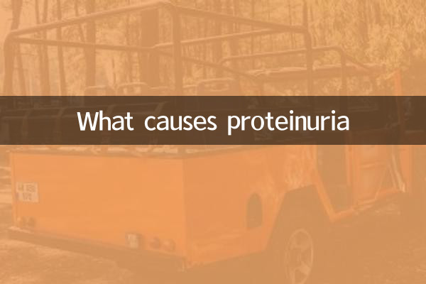 ما الذي يسبب البيلة البروتينية