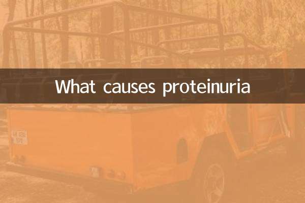 ما الذي يسبب البيلة البروتينية