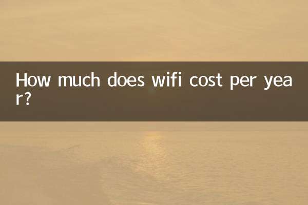 wifi一年多少钱